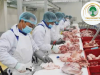 NHÂN VIÊN NHÀ MÁY THỰC PHẨM