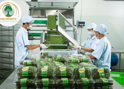 NAM ĐÓNG GÓI NÔNG SẢN