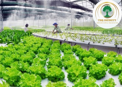 NAM NỮ LAO ĐỘNG NÔNG NGHIỆP E8