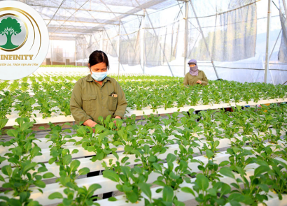 NAM NỮ LAO ĐỘNG NÔNG NGHIỆP C4