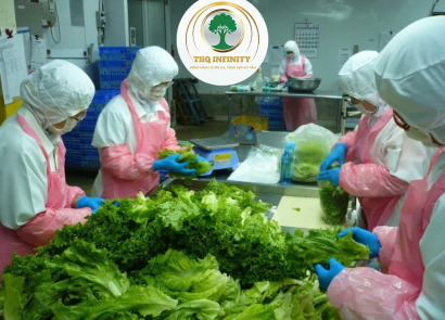 NAM NỮ ĐÓNG GÓI RAU CỦ