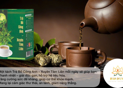 TRÀ BỒ CÔNG ANH - XUYÊN TÂM LIÊN