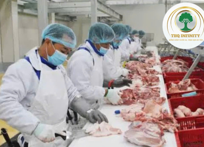 NHÂN VIÊN NHÀ MÁY THỰC PHẨM