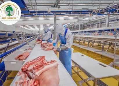 SẢN XUẤT ĐÓNG GÓI SẢN PHẨM