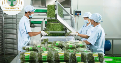 NAM ĐÓNG GÓI NÔNG SẢN