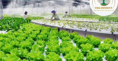 NAM NỮ LAO ĐỘNG NÔNG NGHIỆP E8