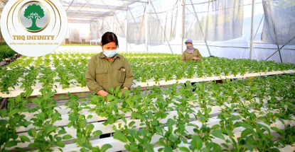NAM NỮ LAO ĐỘNG NÔNG NGHIỆP C4