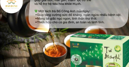 TRÀ BỒ CÔNG ANH