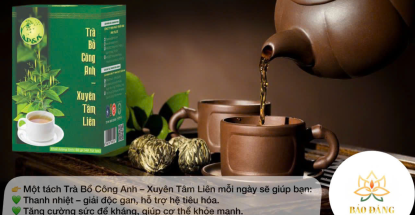 TRÀ BỒ CÔNG ANH - XUYÊN TÂM LIÊN