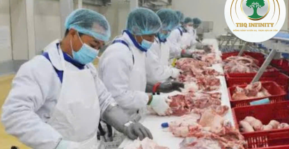 NHÂN VIÊN NHÀ MÁY THỰC PHẨM