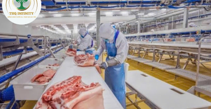SẢN XUẤT ĐÓNG GÓI SẢN PHẨM